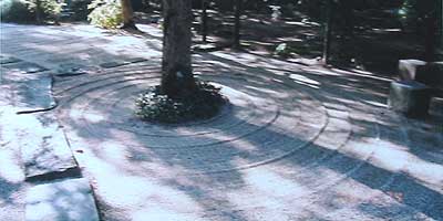 PICO