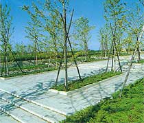 海浜公園