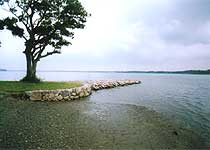 茨城町・親沢公園